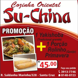 1 Yakishoba (Tradicional grande) + 1 Porção Rolinho Primavera (Queijo)