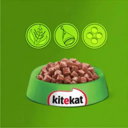KiteKat sachê frango, carne ou peixe.