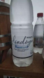 Água s/ Gás (garrafa)