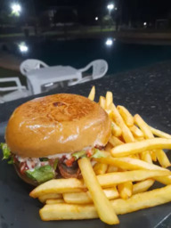 X salada artesanal + fritas