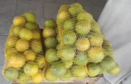 Laranja Pacote