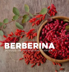 Berberina - Diminuição de Peso e Glicose
