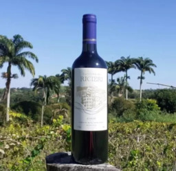 Vinho Ricieri - Bordô