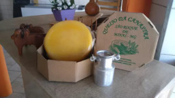 Queijo Canastra Curado
