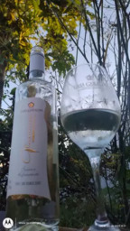 Vinho Fino Branco Suave e Refrescante