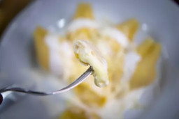 Conchiglione