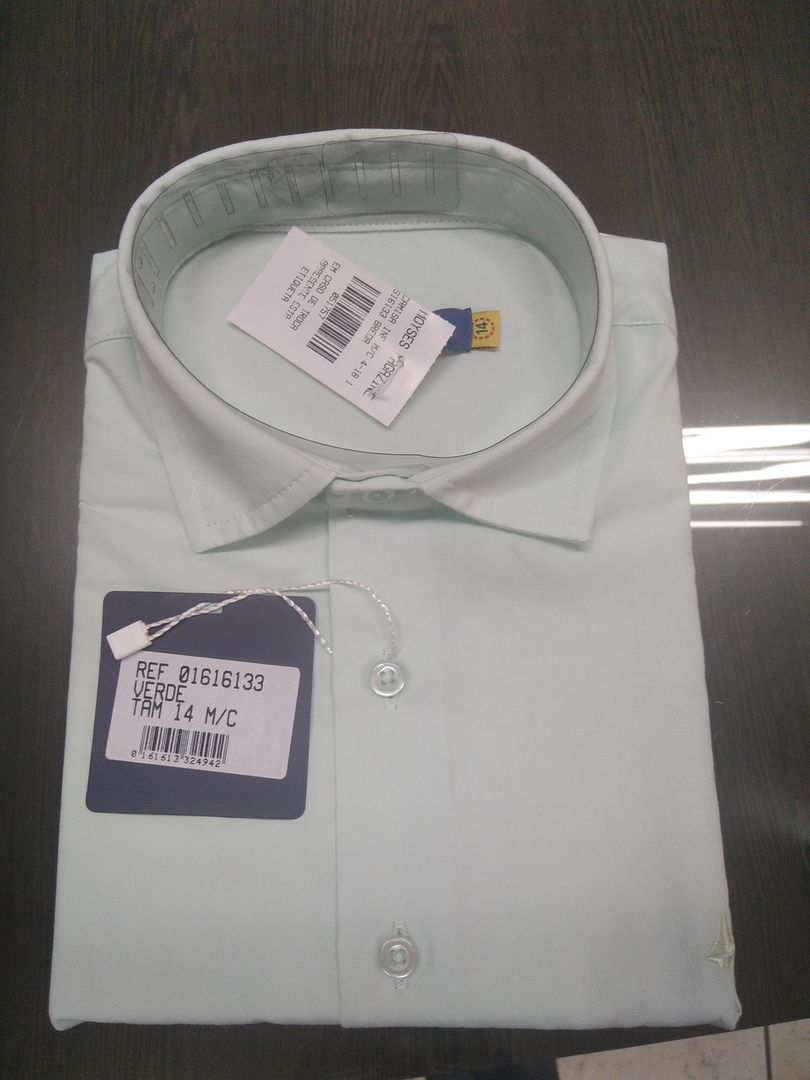 Camisa Social Verde