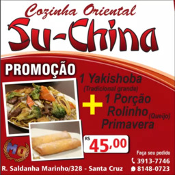1 Yakishoba (Tradicional grande) + 1 Porção Rolinho Primavera