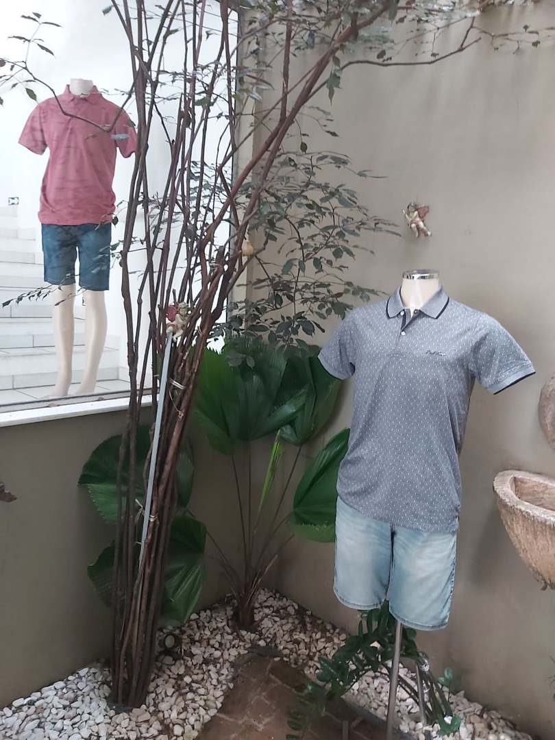 Linda Coleção em Polos e Bermudas em Todos os Tamanhos.