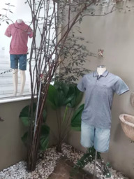 Linda Coleção em Polos e Bermudas em Todos os Tamanhos.