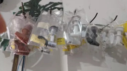 Tornerinhas de Suporte 