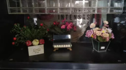 Vaso de Flores