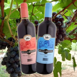 Vinho Bella Aurora