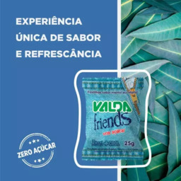 Pastilha Valda Friends Sem Açúcar 25g