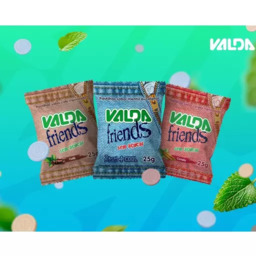 Pastilha Valda Friends Sem Açúcar - Café, Canela e Tradicional