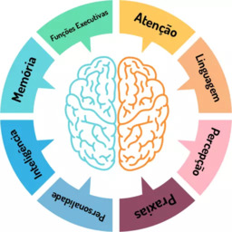 Avaliação Neuropsicológica: Como Analisar e Compreender as Funções Cognitivas em Diferentes Idades