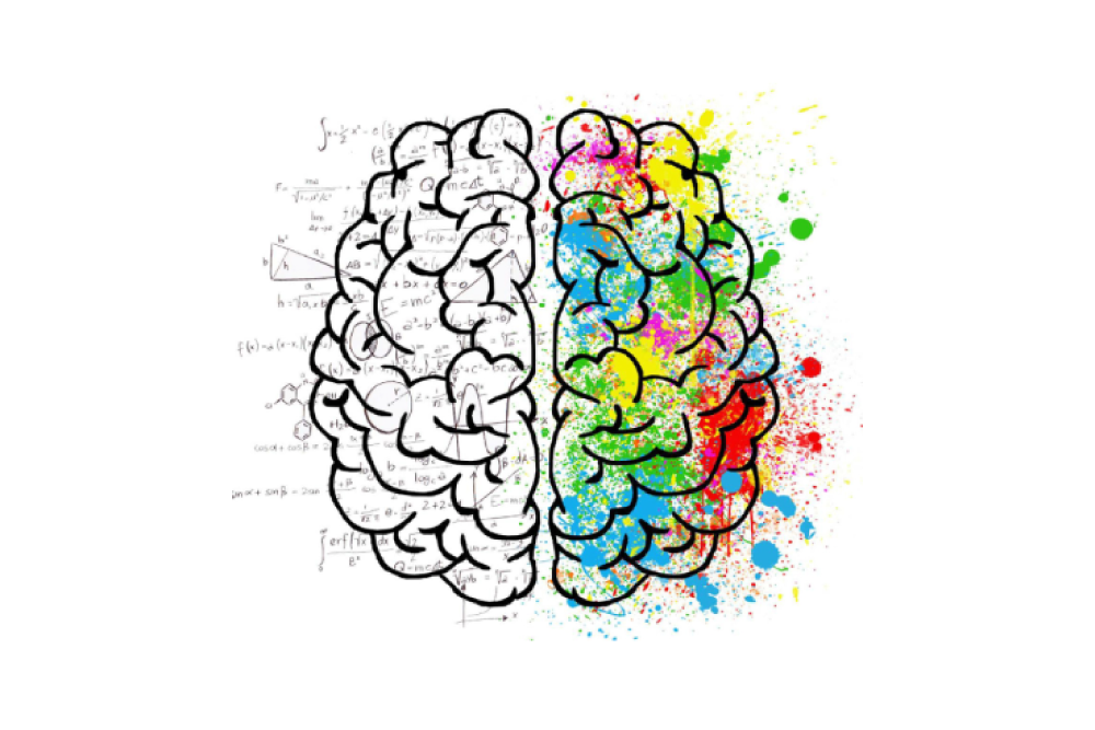 Componentes de uma Avaliação Neuropsicológica Completa