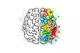 Componentes de uma Avaliação Neuropsicológica Completa
