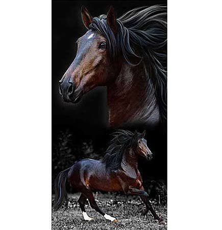 Toalha Aveludada Cavalo Brow