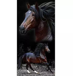 Toalha Aveludada Cavalo Brow