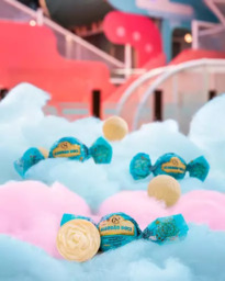 Deliciosas Trufas