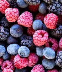 Frutas Vermelhas Congeladas