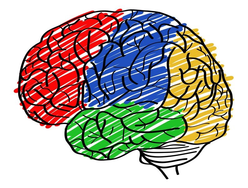 O que é a Avaliação Neuropsicológica?