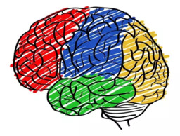 O que é a Avaliação Neuropsicológica?