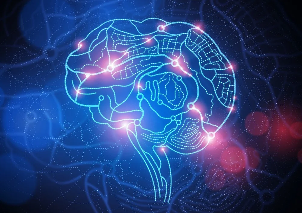 Como a Avaliação Neuropsicológica Mapeia as Funções do Cérebro