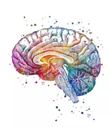Avaliação Neuropsicológica e Memória: Identificando Alterações Cognitivas
