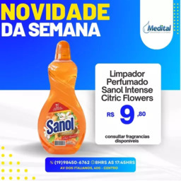 LImpador Perfumado - Sanol