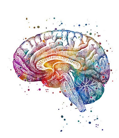 Avaliação Neuropsicológica e Memória: Identificando Alterações Cognitivas