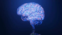 O Papel da Avaliação Neuropsicológica na Recuperação Pós-AVC