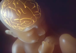Avaliação Neuropsicológica para Transtornos do Neurodesenvolvimento