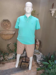 Polos e Bermudas Plus Size