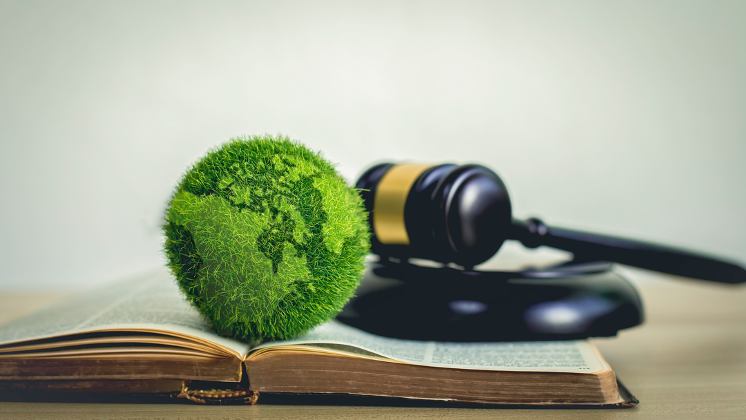 Defesa em Processos Ambientais