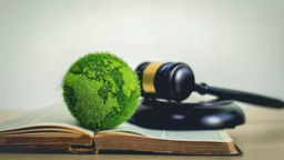Defesa em Processos Ambientais