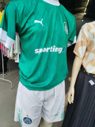 Camisa de Time Palmeiras