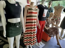 Moda Feminina