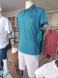 Polos e Bermudas