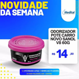 ODORIZADOR POTE CARRO NOVO SANOL V8 60G