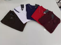 Variedade em Camisas Polo