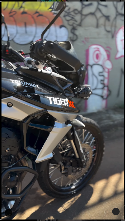 Triumph Tiger Se esse é seu sonho vai lá e bigoda!