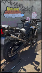 Triumph Tiger Se esse é seu sonho vai lá e bigoda!
