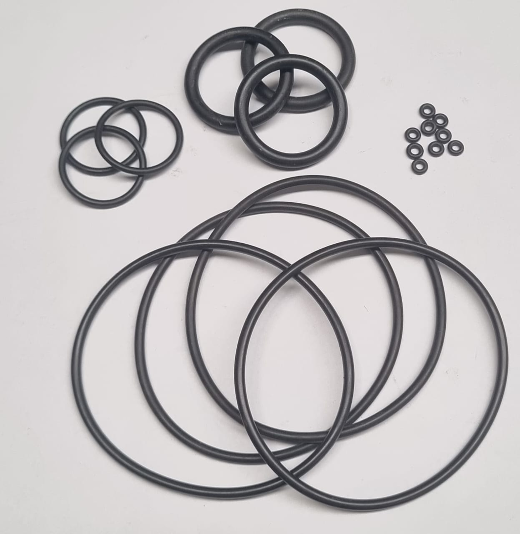 Anel O'ring