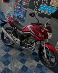 Titan 24 no padrão Gaspardi adesivos