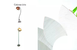 Colunas Lírio