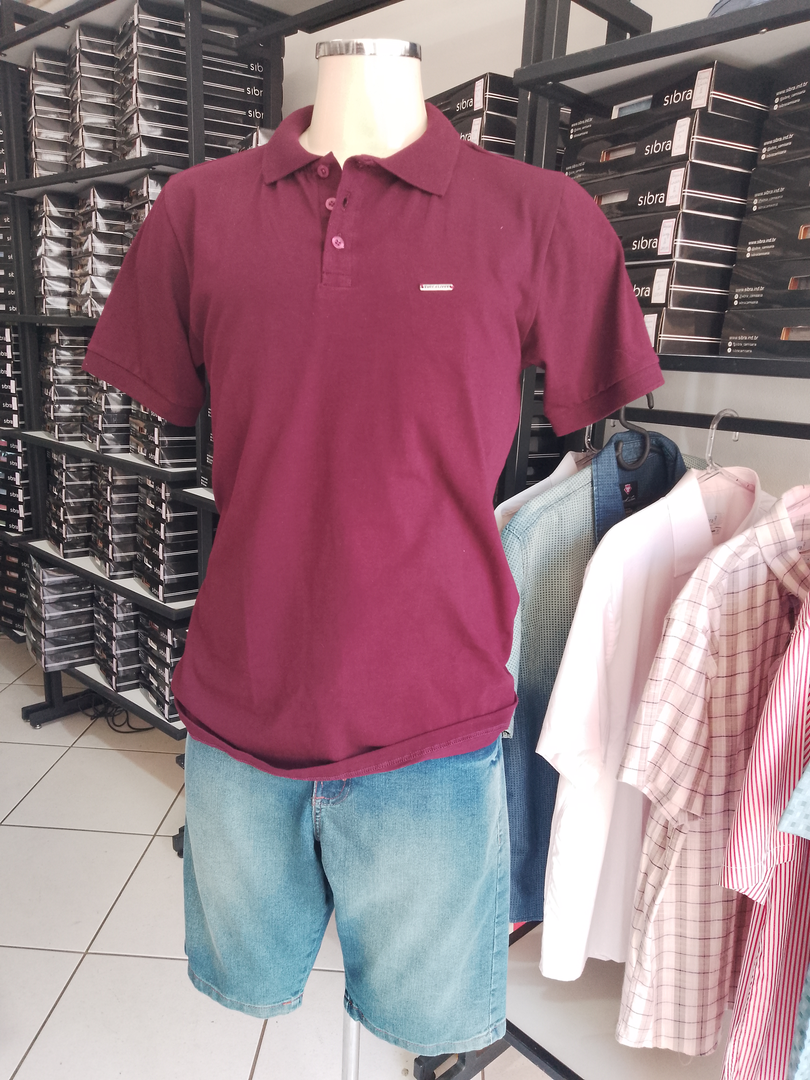 Camisa Polo e Bermuda