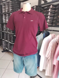 Camisa Polo e Bermuda