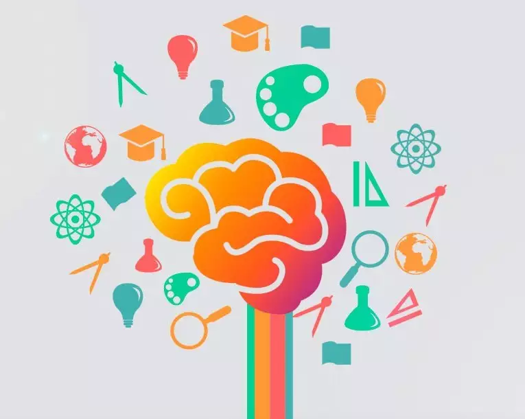 Principais Etapas da Avaliação Neuropsicológica